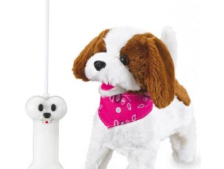 Radiostyrd hund bäst i test