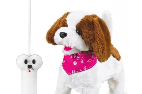 Radiostyrd hund bäst i test